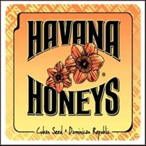 Havana Honeys Logo